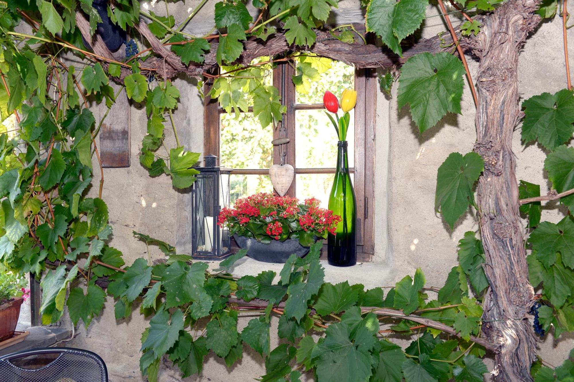 Wein- Und Gaestehaus M. Bai Mesenich Kültér fotó