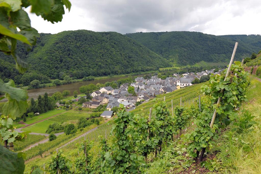 Wein- Und Gaestehaus M. Bai Mesenich Kültér fotó